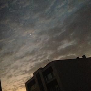 Meet your Posher, Dorsa